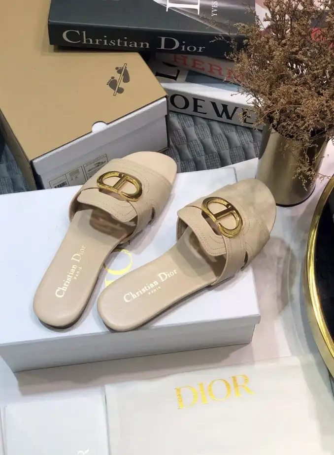 hype Christian Dior Slippers