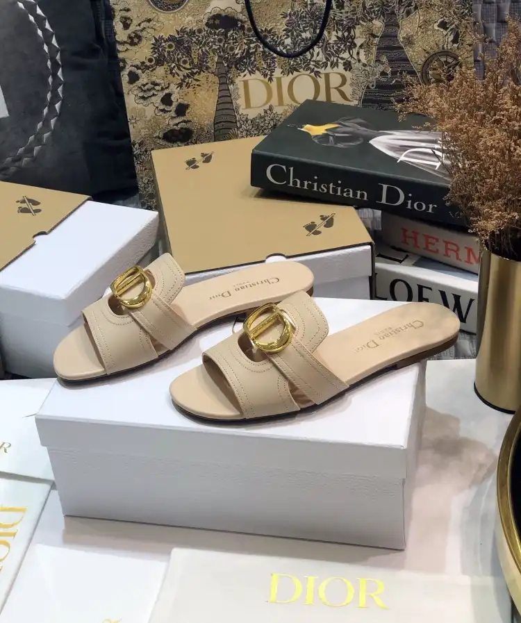 hype Christian Dior Slippers