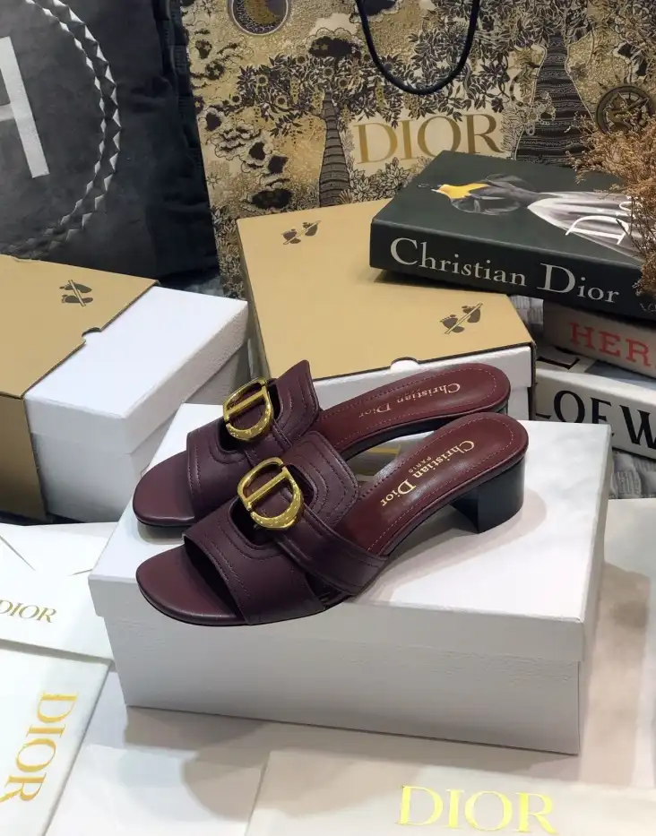 hype Christian Dior Slippers