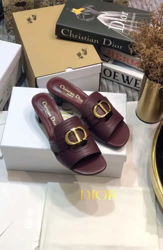 hype Christian Dior Slippers