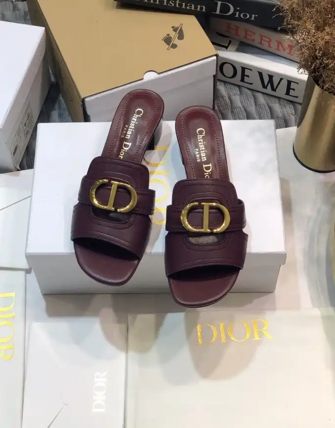 hype Christian Dior Slippers