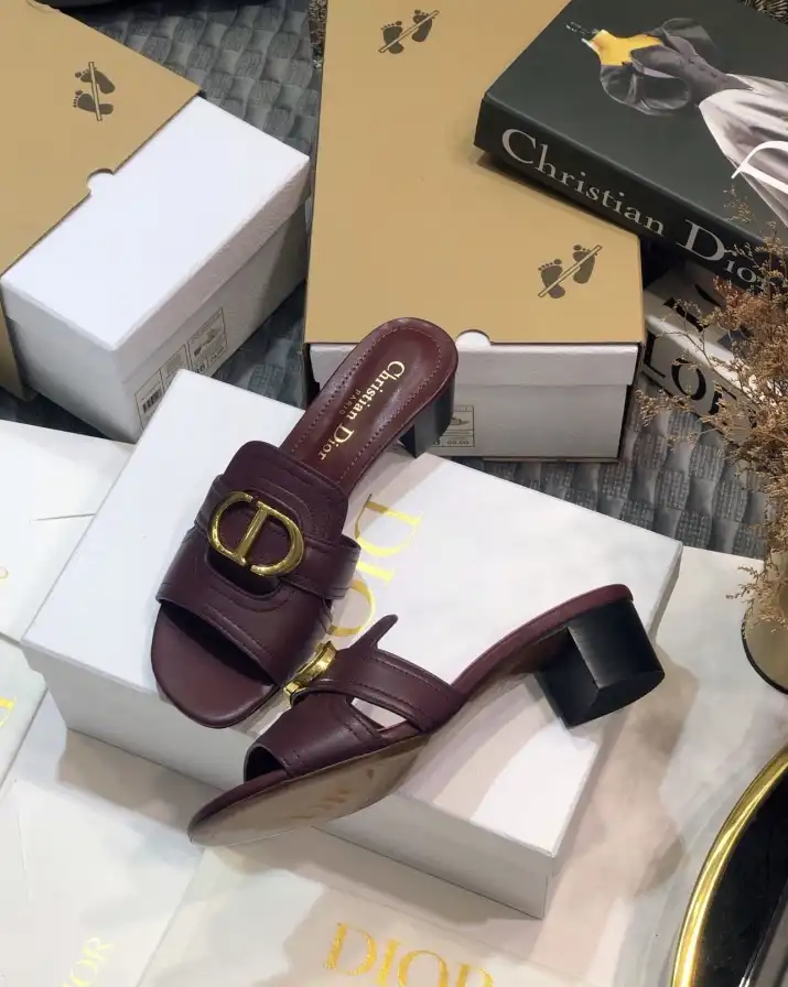 hype Christian Dior Slippers