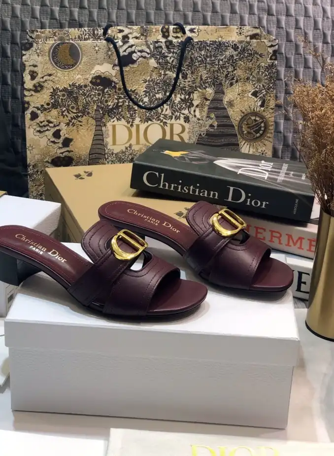 hype Christian Dior Slippers