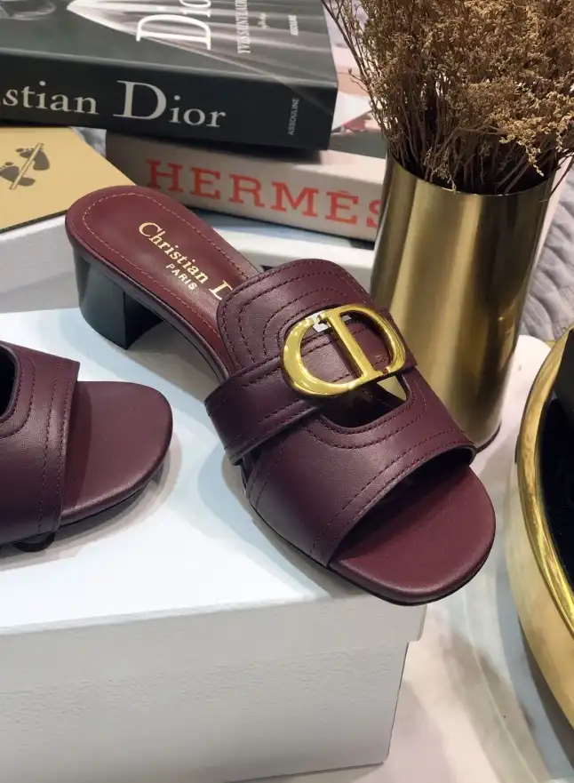 hype Christian Dior Slippers