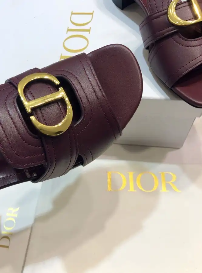 hype Christian Dior Slippers