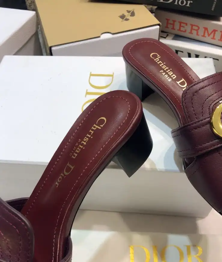 hype Christian Dior Slippers