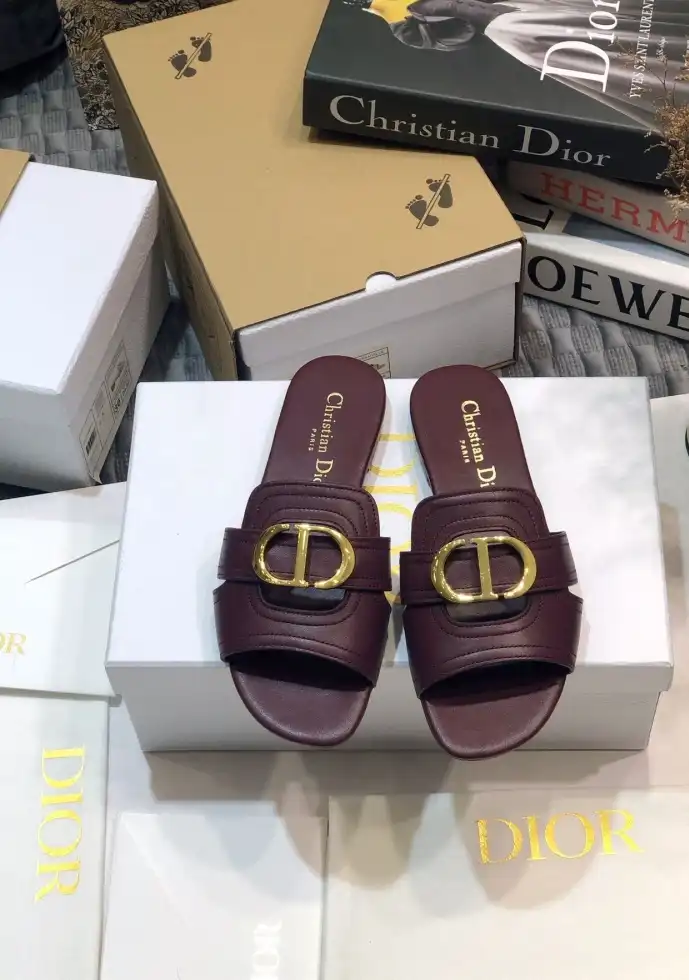 hype Christian Dior Slippers