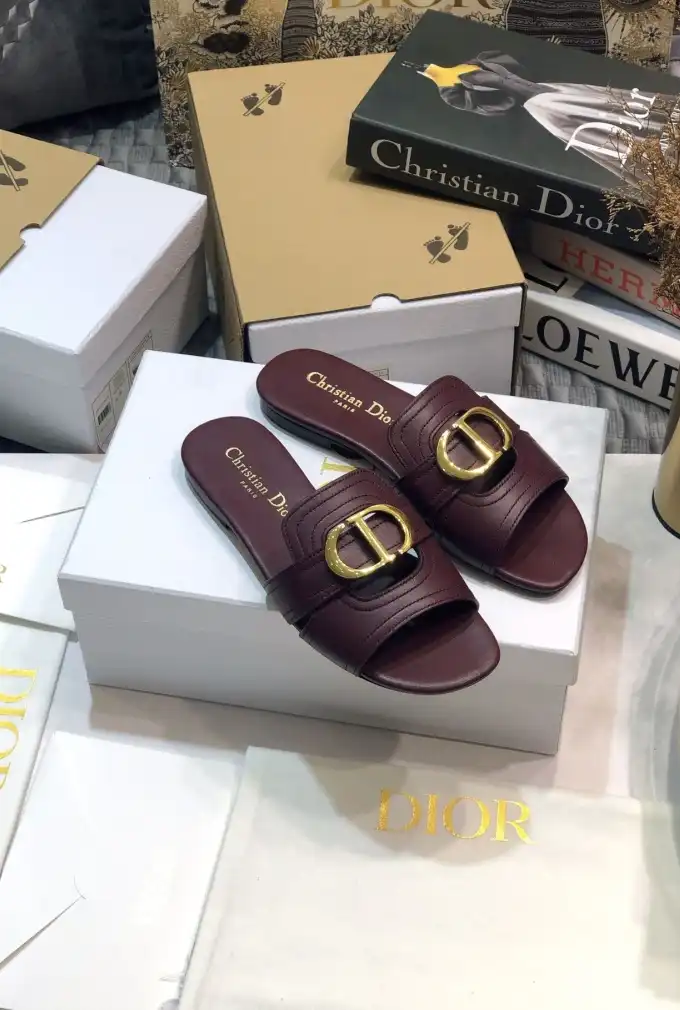 hype Christian Dior Slippers