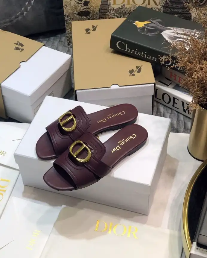 hype Christian Dior Slippers