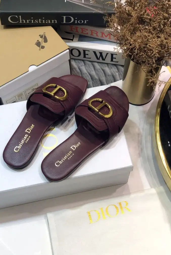 hype Christian Dior Slippers