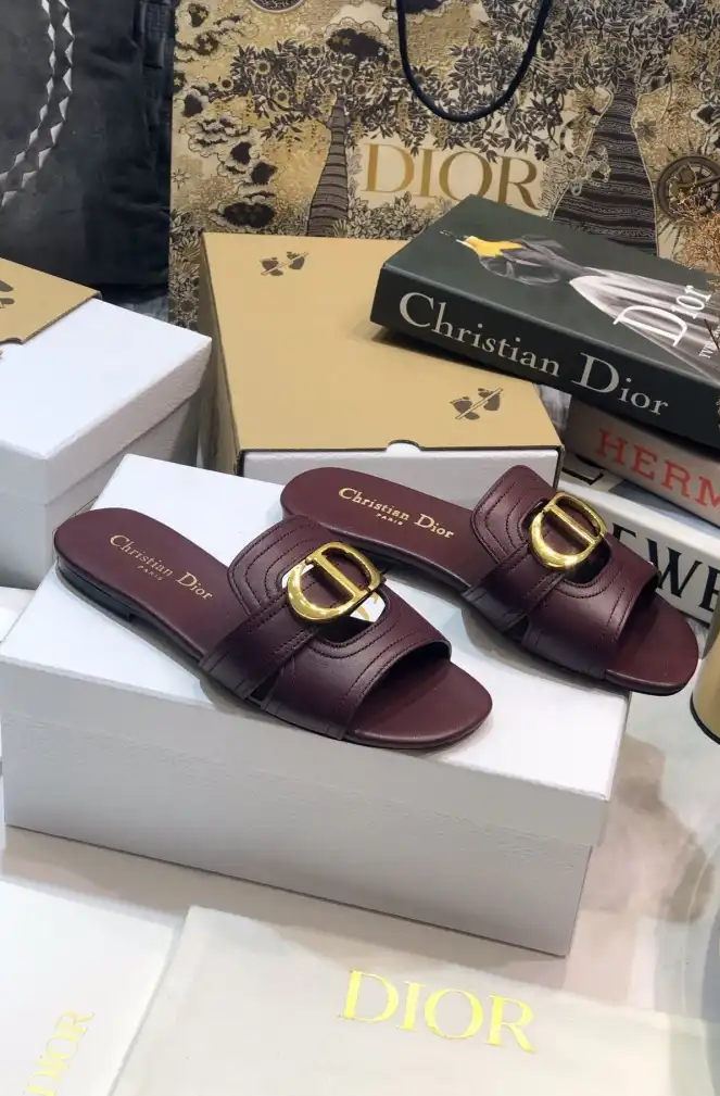 hype Christian Dior Slippers