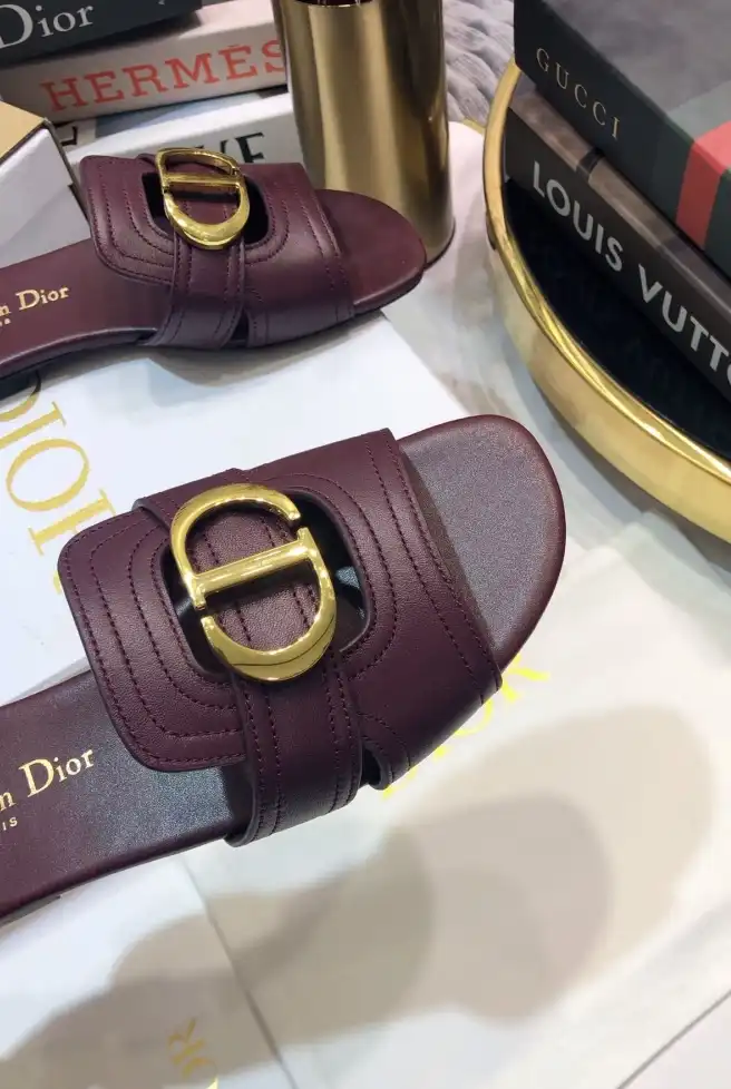 hype Christian Dior Slippers