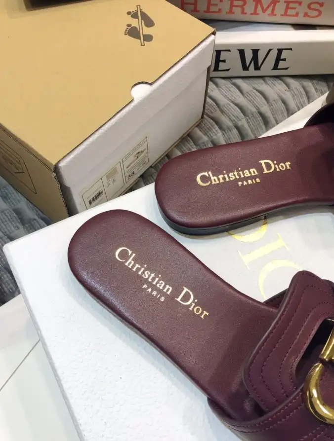 hype Christian Dior Slippers