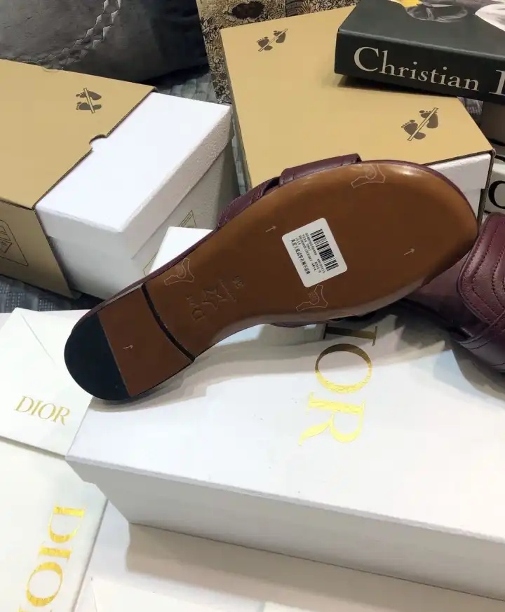 hype Christian Dior Slippers