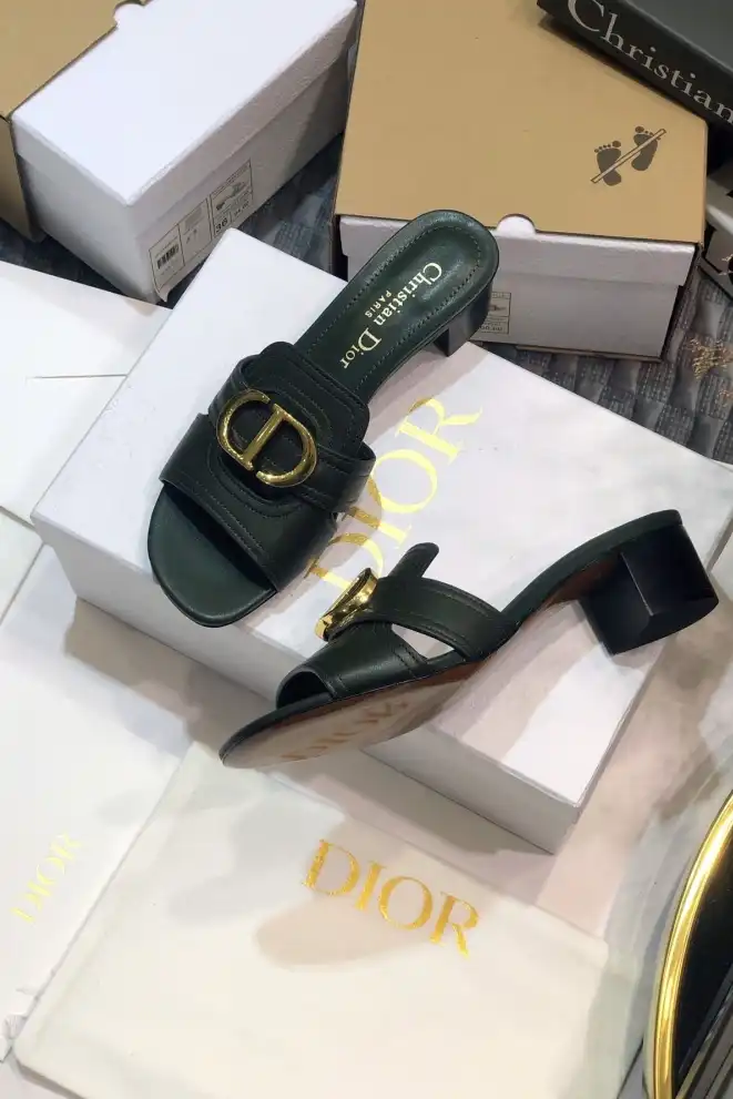 hype Christian Dior Slippers