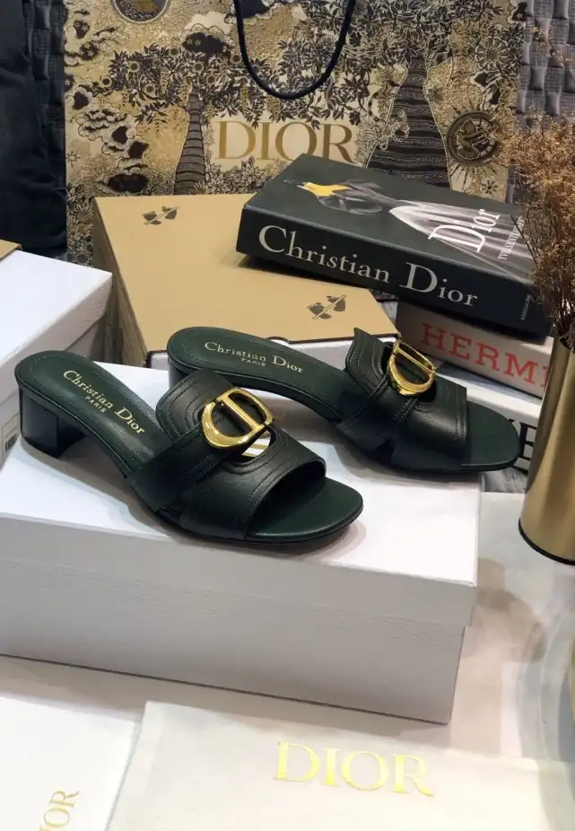 hype Christian Dior Slippers