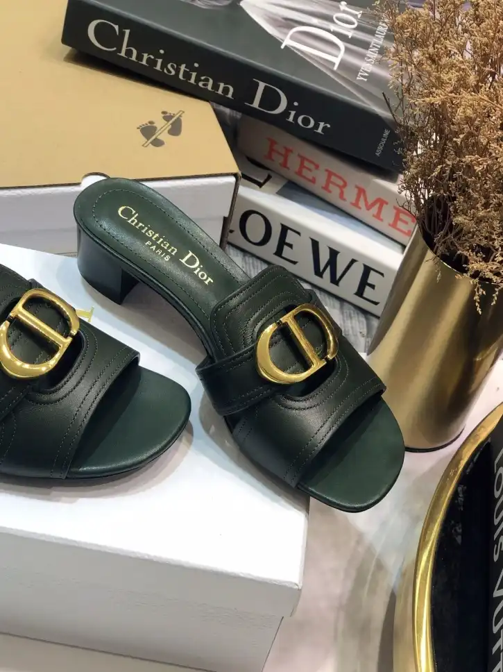 hype Christian Dior Slippers