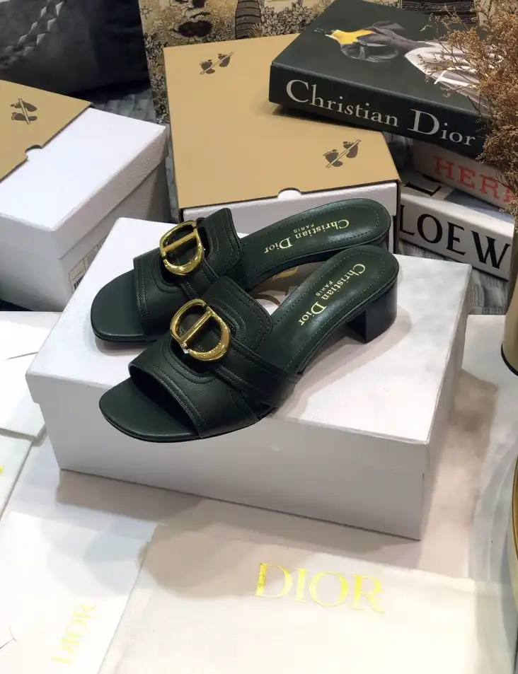 hype Christian Dior Slippers