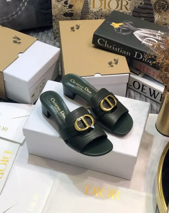 hype Christian Dior Slippers