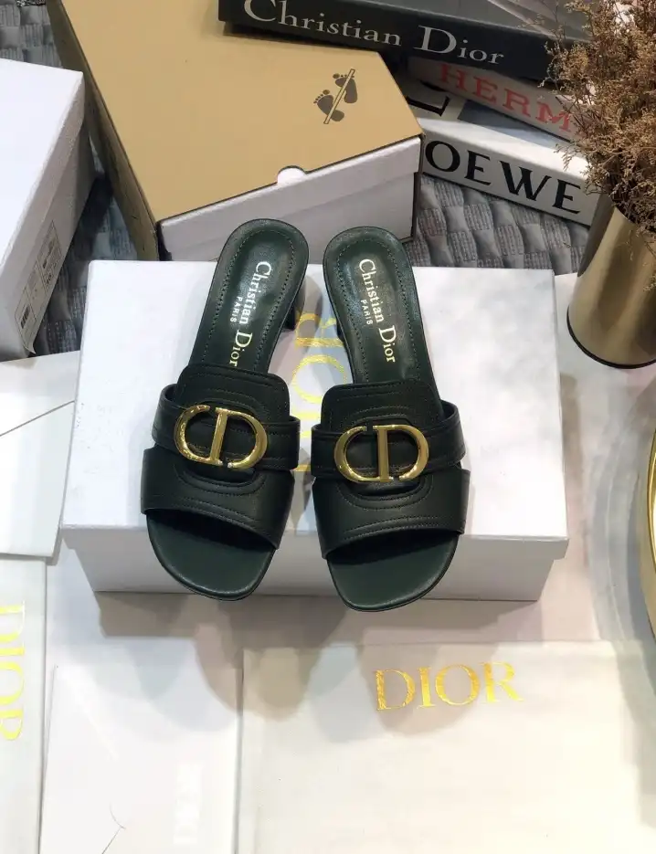 hype Christian Dior Slippers