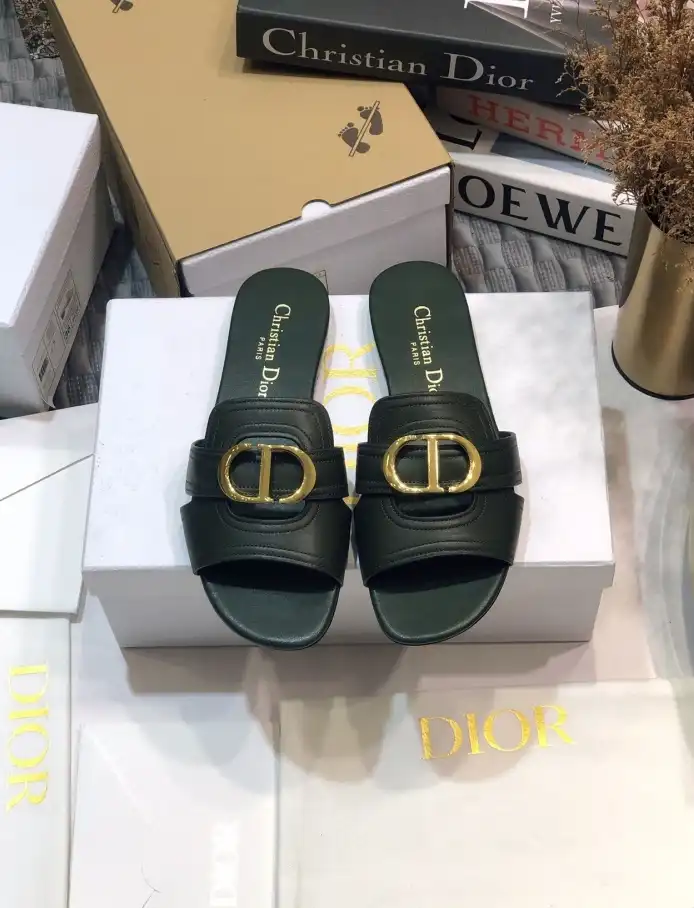 hype Christian Dior Slippers