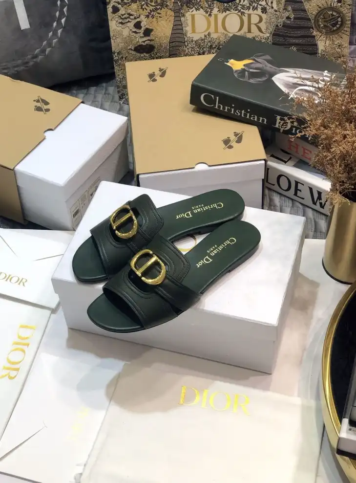 hype Christian Dior Slippers