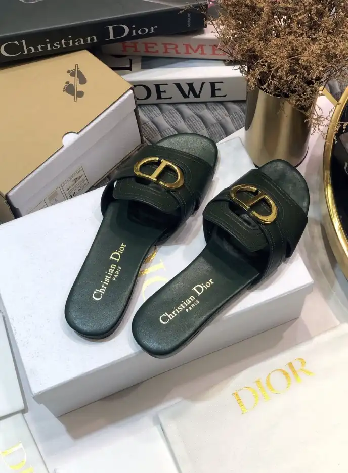 hype Christian Dior Slippers