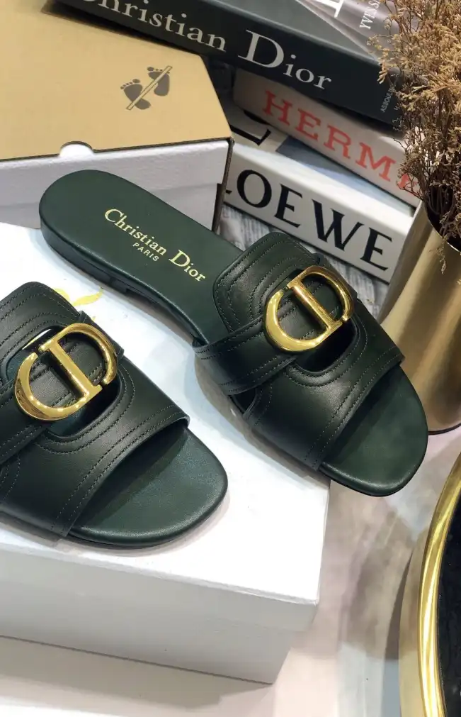 hype Christian Dior Slippers