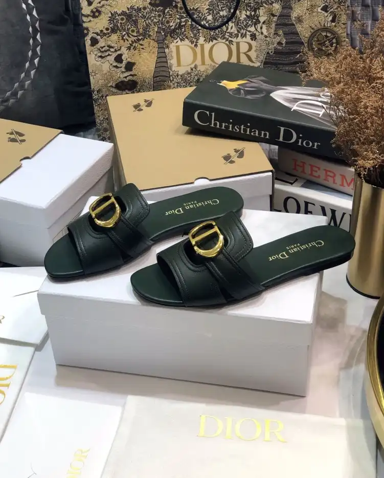 hype Christian Dior Slippers