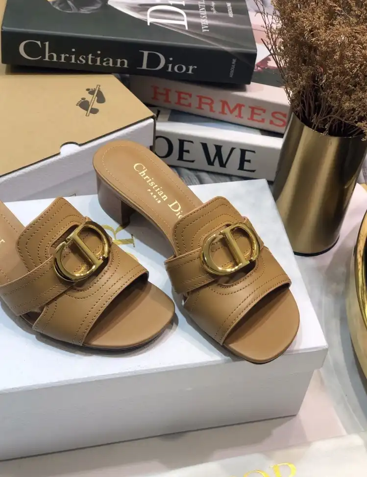 hype Christian Dior Slippers