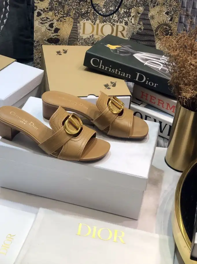 hype Christian Dior Slippers