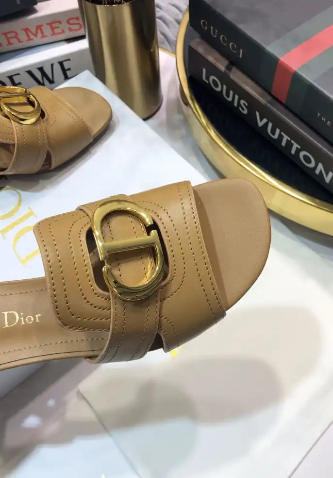 hype Christian Dior Slippers