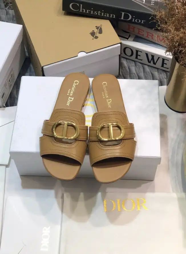 hype Christian Dior Slippers