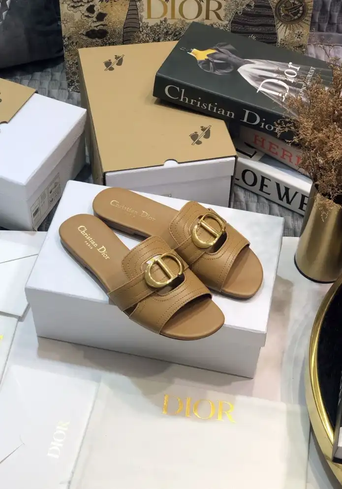 hype Christian Dior Slippers