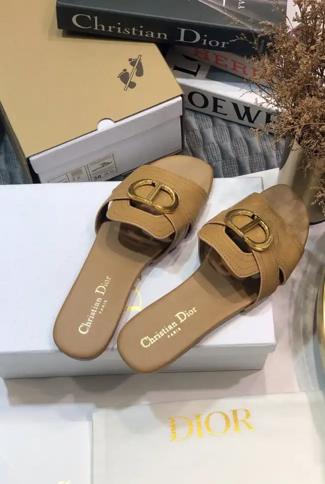 hype Christian Dior Slippers