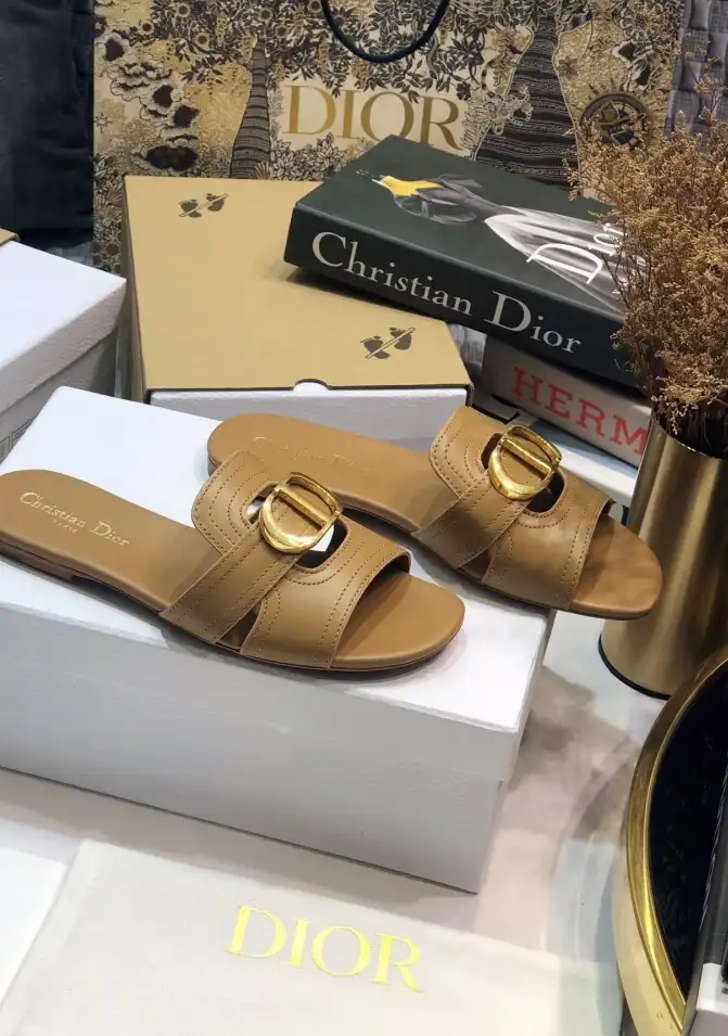 hype Christian Dior Slippers