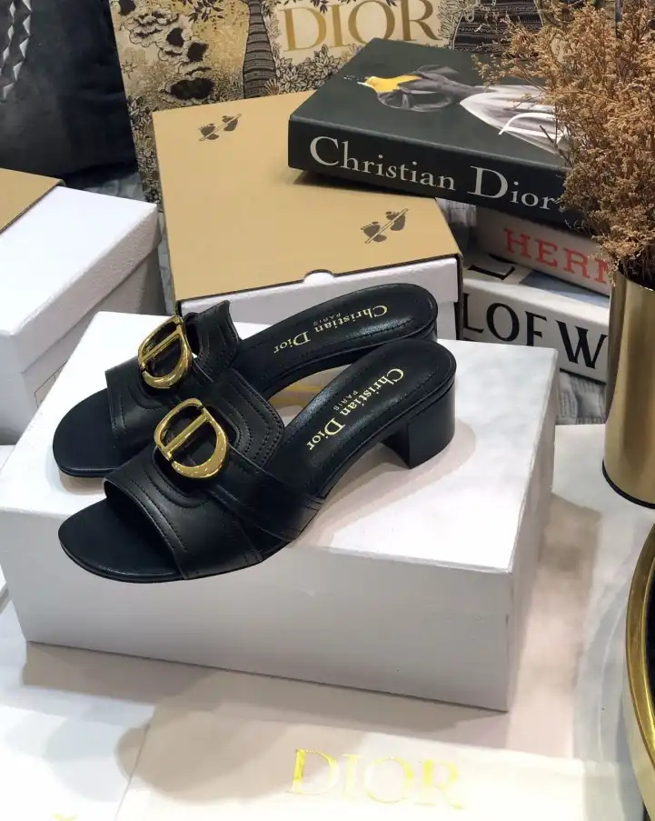 hype Christian Dior Slippers