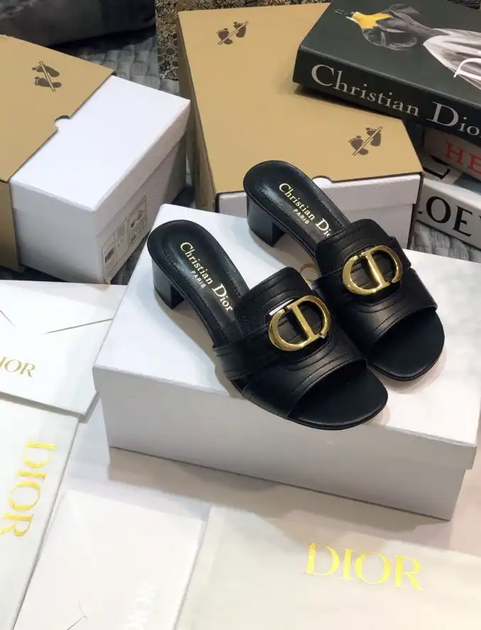 hype Christian Dior Slippers