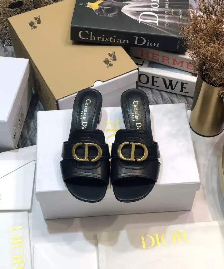 hype Christian Dior Slippers