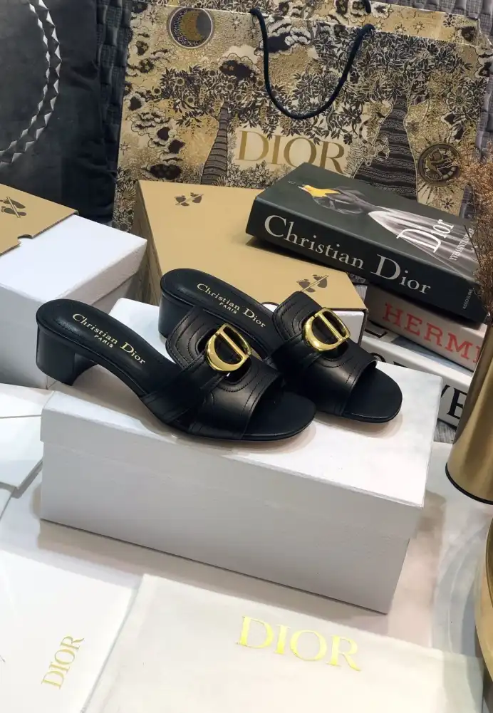 hype Christian Dior Slippers