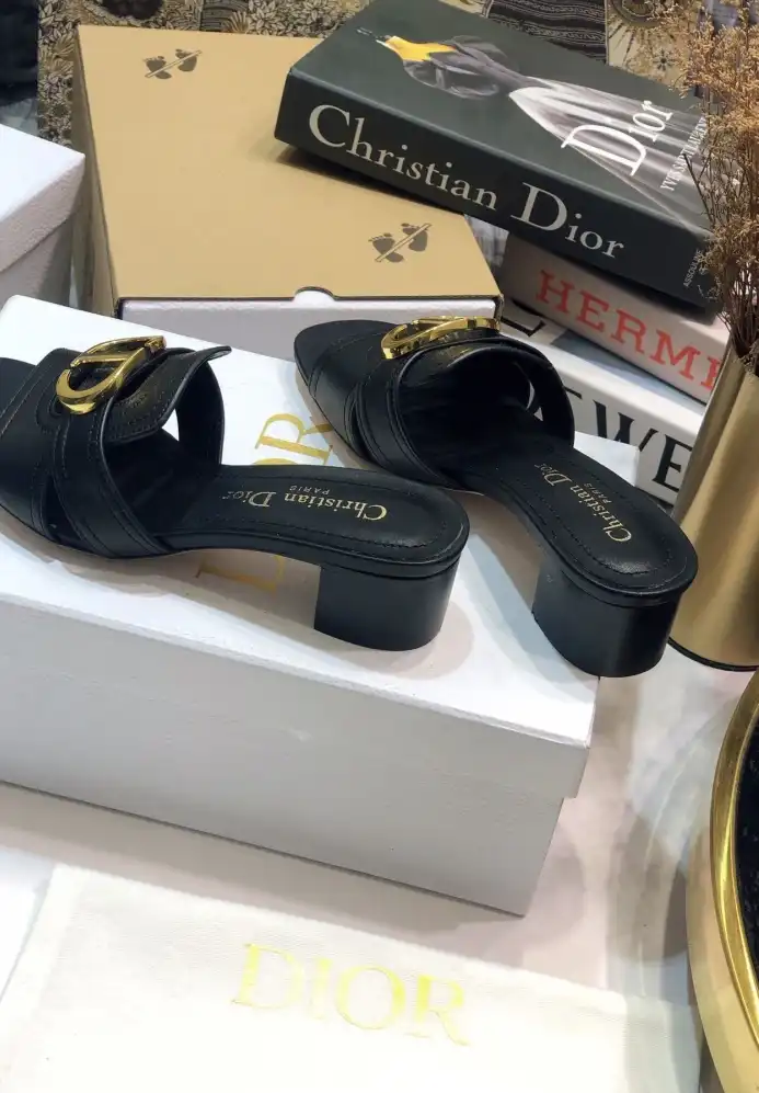 hype Christian Dior Slippers