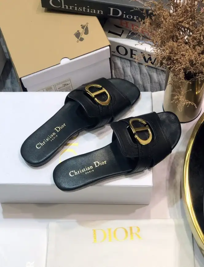 hype Christian Dior Slippers