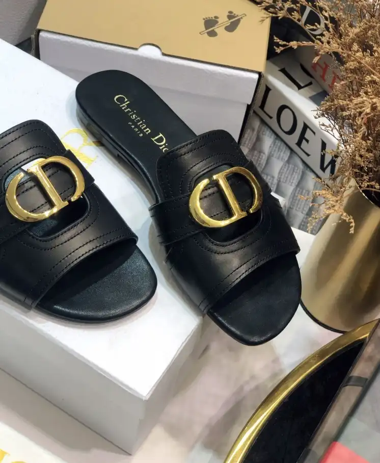 hype Christian Dior Slippers