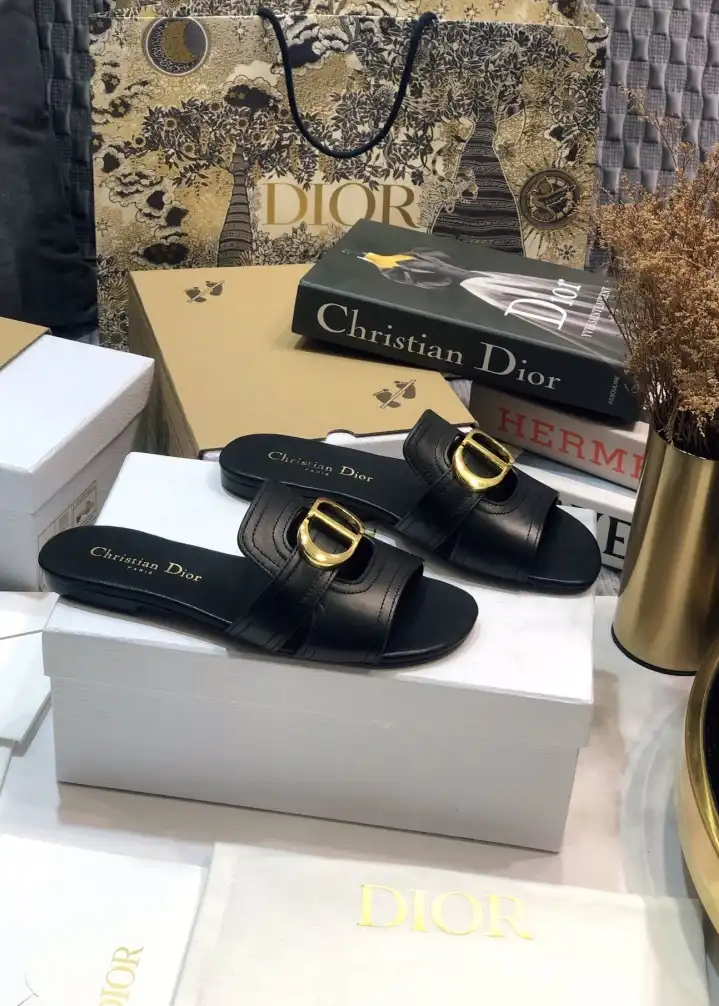 hype Christian Dior Slippers