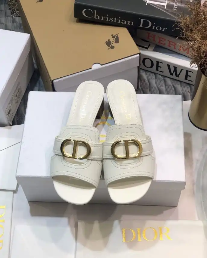 hype Christian Dior Slippers