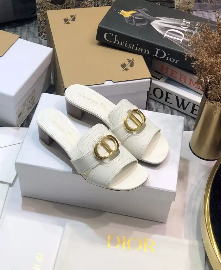 hype Christian Dior Slippers