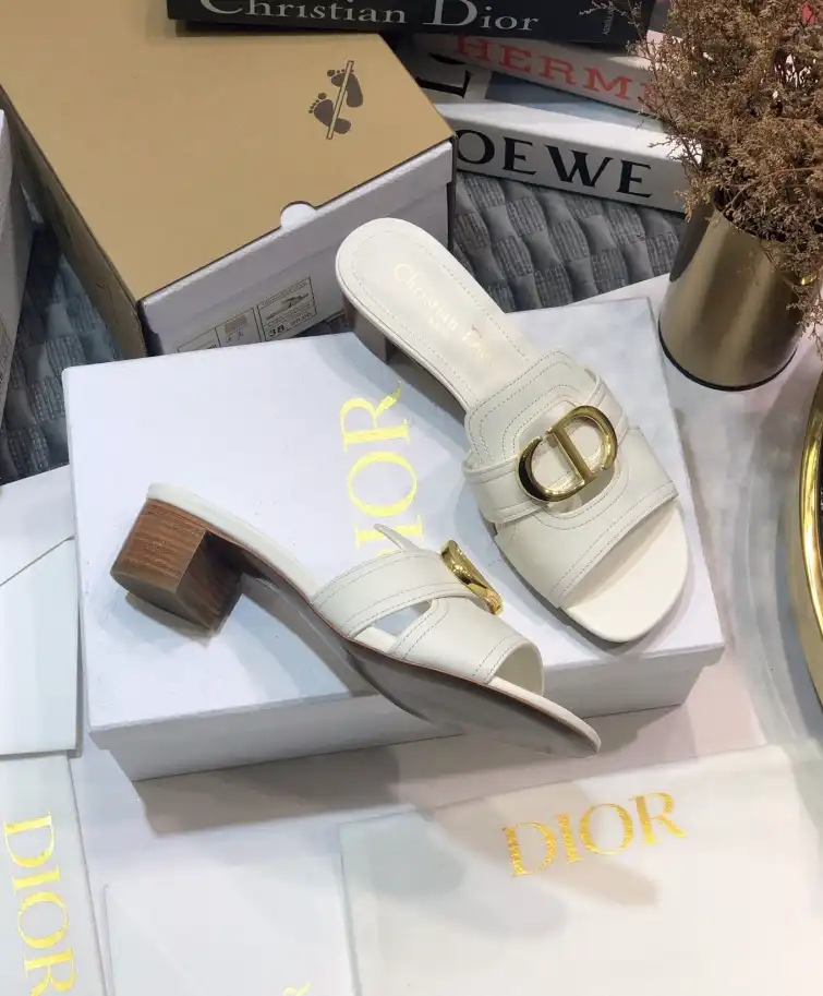 hype Christian Dior Slippers