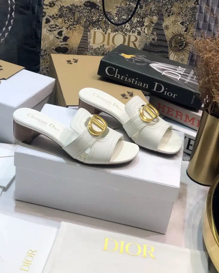 hype Christian Dior Slippers