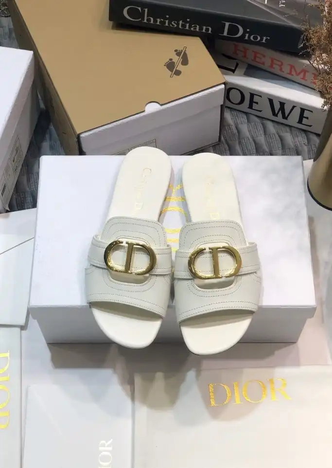 hype Christian Dior Slippers