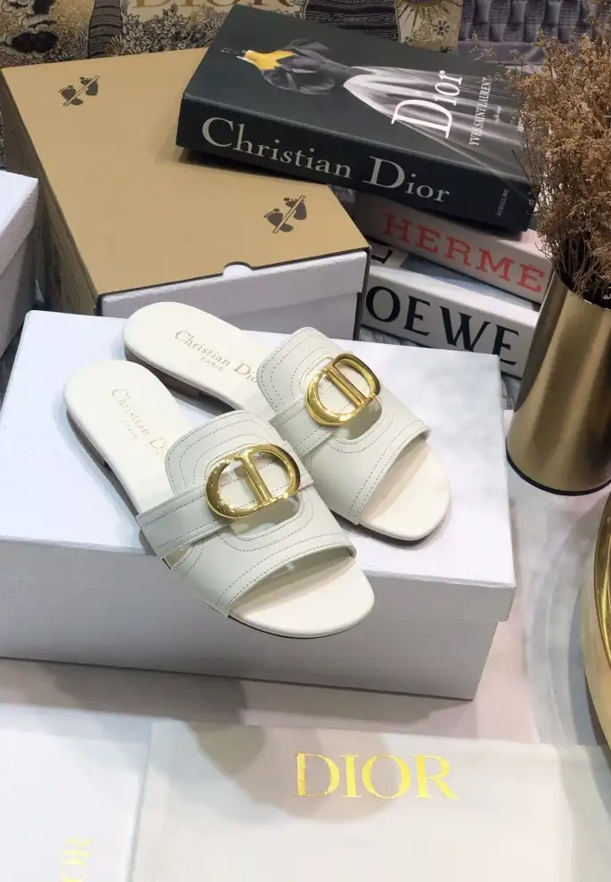 hype Christian Dior Slippers